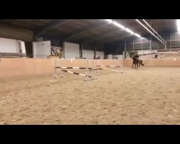 Video of Chajuba B II