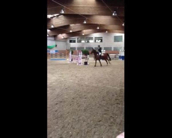 Video of Chajuba B II