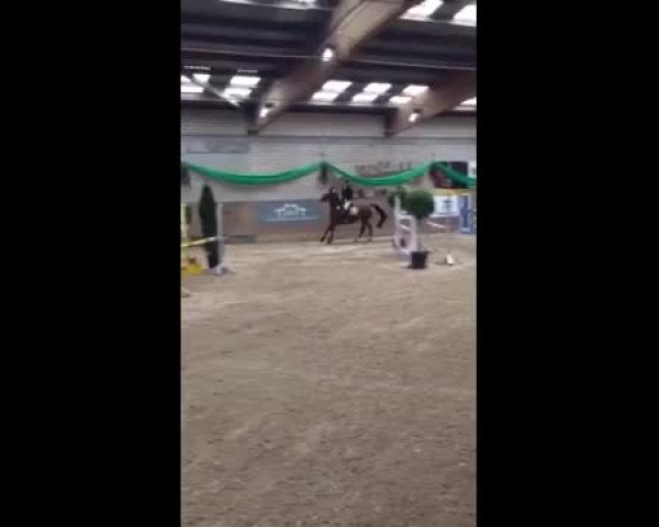 Video of Chajuba B II