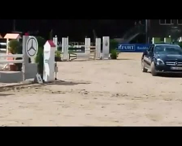 Video of Chajuba B II