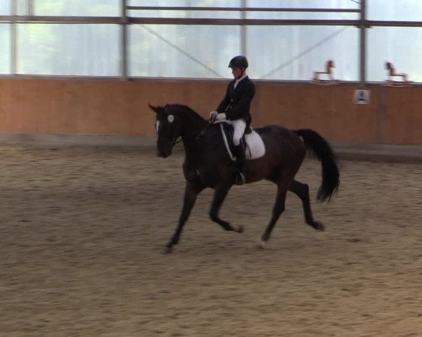 Reitturnier Herbern 2015
