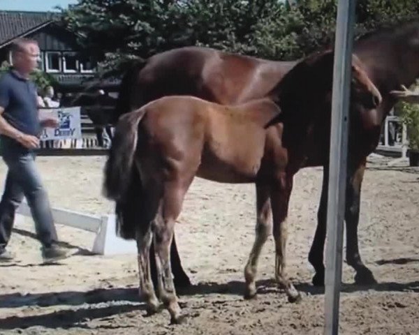 Video of Loretto