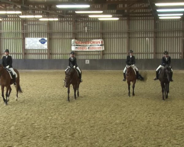 Reitturnier Grefrath - Reitanlage Heitzerend 2015