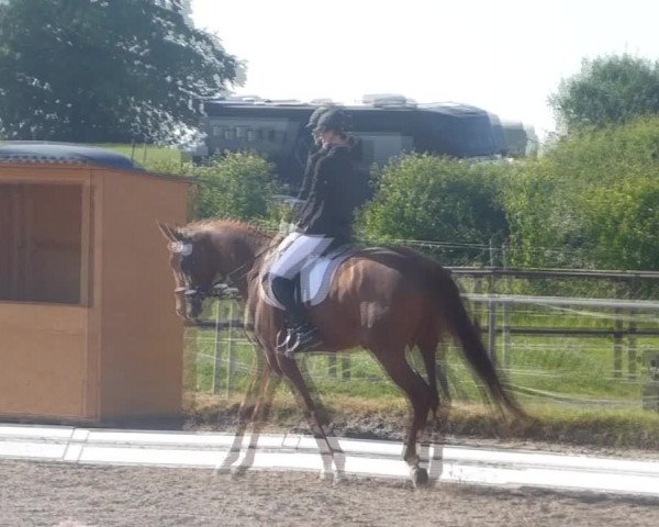 Video of Romy 256