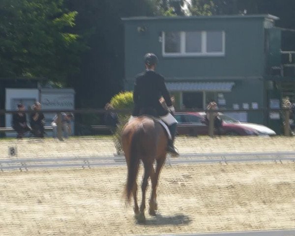 Video of Romy 256