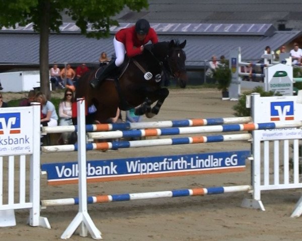 jumper Landos 34 (Bavarian, 2004, from Landprinz)