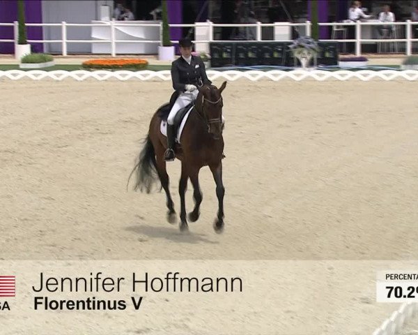 Video von Florentinus V 219 FIN