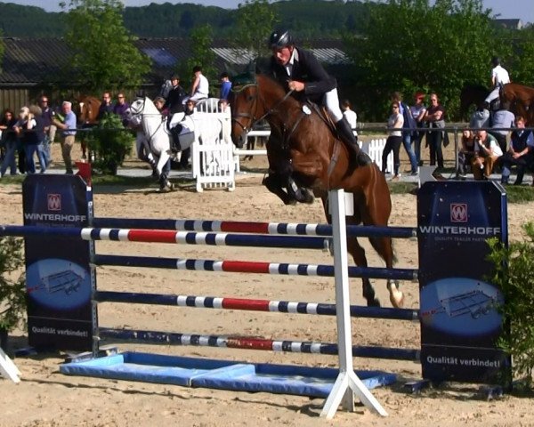 Springpferd Carpimo (Westfale, 2007, von Contendro I)