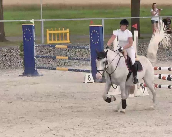Reitturnier Ingolstadt-Hagau 2015