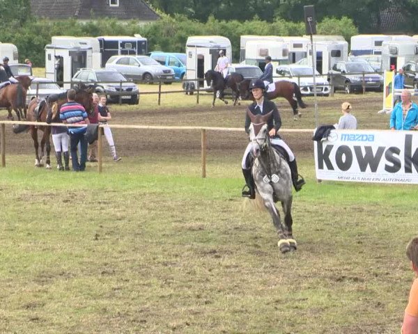 Reitturnier Ahlhorn 2015