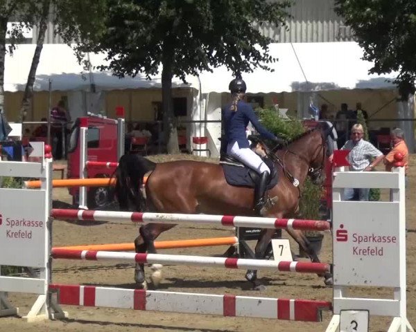 Reitturnier Grefrath - Reitanlage Heitzerend 2015