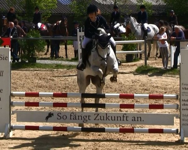broodmare Corade 2 (Mecklenburg, 2005, from Cellestial)