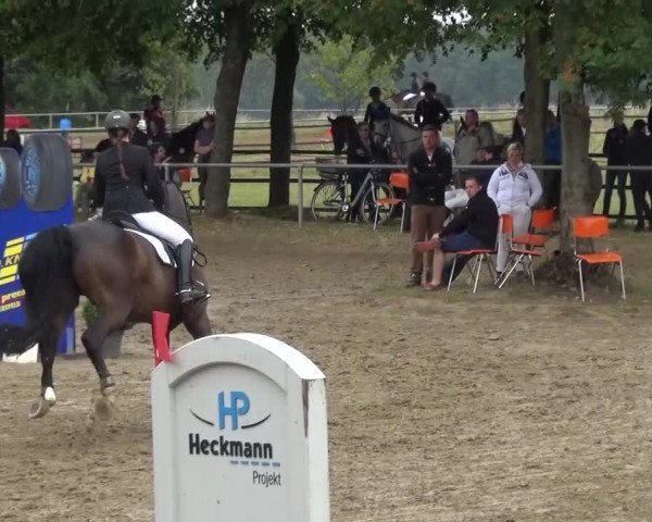 Reitturnier Grefrath 2015
25 Mannsch.-Springprfg.Kl.A* mit 1 Umlauf
