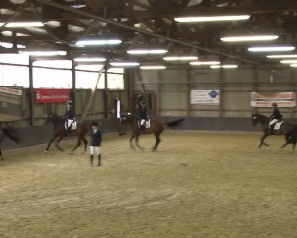 Reitturnier Grefrath 2015
24 Dressurprüfung Kl.A* für Mannschaften