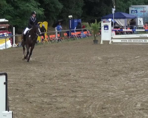 Reitturnier Grefrath 2015
25 Mannsch.-Springprfg.Kl.A* mit 1 Umlauf