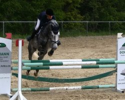 broodmare Columbia 25 (Holsteiner, 2008, from Cassiano)