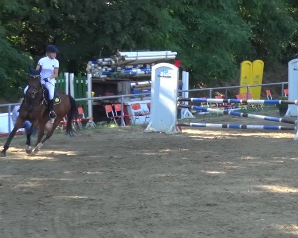 Reitturnier Grefrath 2015
26 Mannsch.-Springprfg.Kl.A* mit 1 Umlauf
