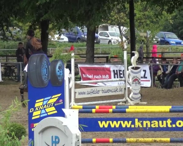 Reitturnier Grefrath 2015
25 Mannsch.-Springprfg.Kl.A* mit 1 Umlauf
