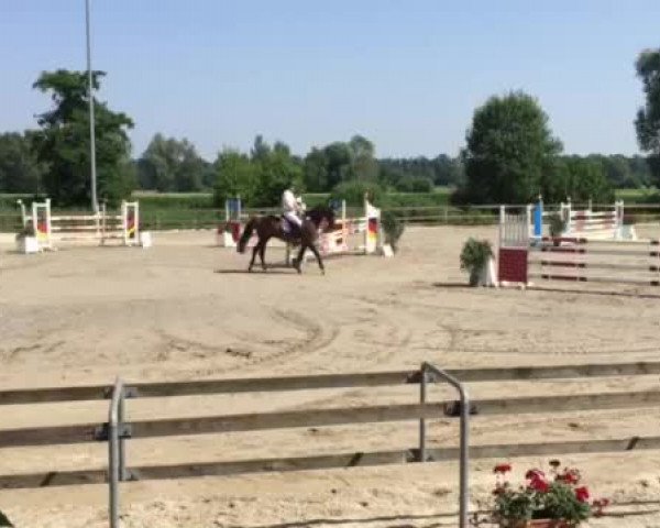 Video von Casanova 460