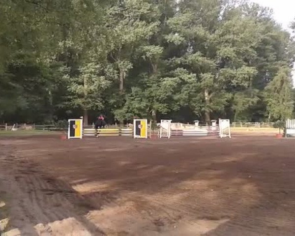 Reitturnier Krefeld 2015