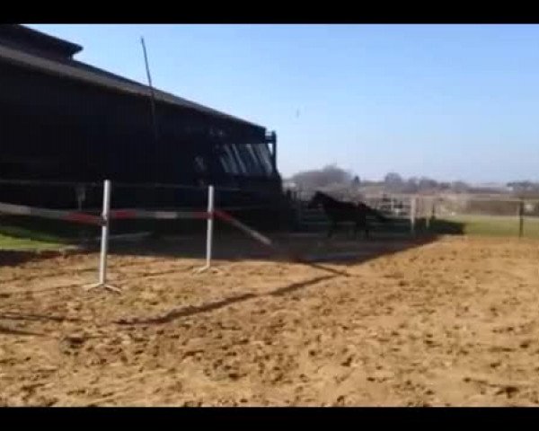 Video of Minerva For Play