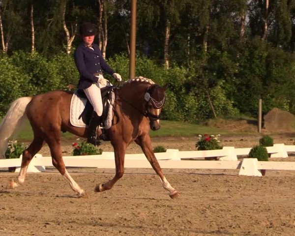 Reitturnier Münster-Roxel 2015 09.07.2015
Dressurprüfung Kl. L* (Nr. 28/2)
Das ist nicht Golden Gate N