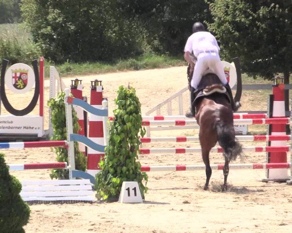 Reitturnier Kalenborn Hegehof 2015