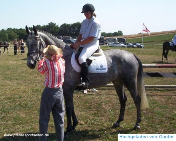 Springpferd Guccigirl (Hannoveraner, 1999, von Graf Grannus) Springpferd Guccigirl (Hannoveraner, 1999, von Graf Grannus)