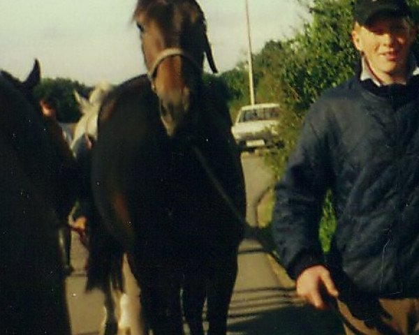 broodmare Mary Poppins (Holsteiner, 1997, from Linaro)