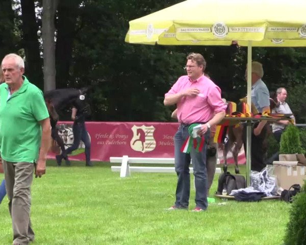 Stuten- und Fohlenschau Delbrück am 26.06.2015, 3. Ring Warmblutfohlen