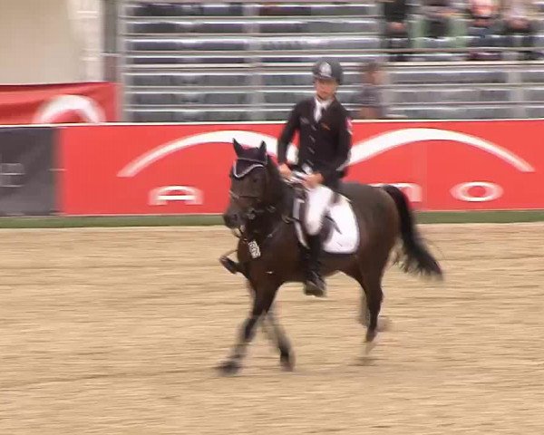 Video von High Noon 48
