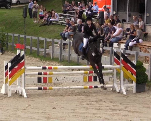 Video of Black Balou