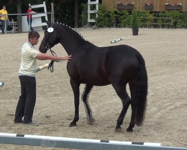 Video von Florida M