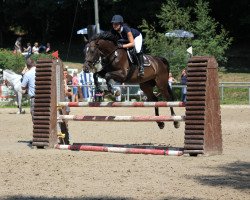 Springpferd Biezjoe (KWPN (Niederländisches Warmblut), 2006, von Indoctro)