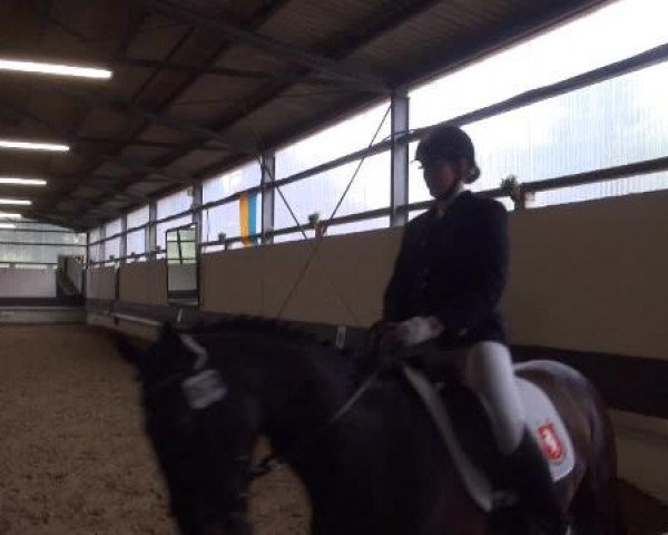 Reit-und Springturnier Dortmund West 2015