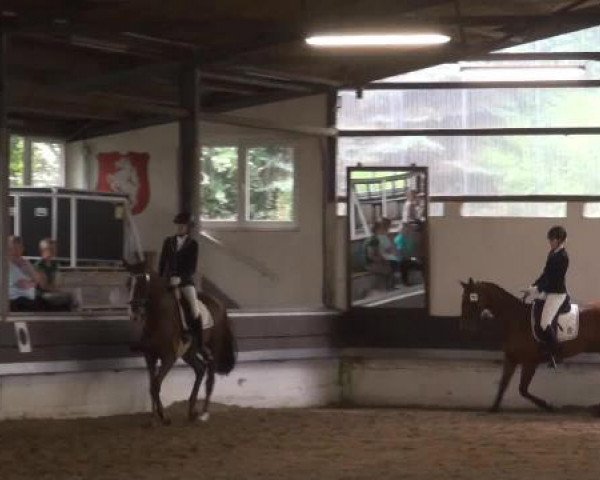 Reit-und Springturnier Dortmund West 2015
