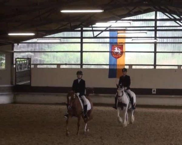Reit-und Springturnier Dortmund West 2015