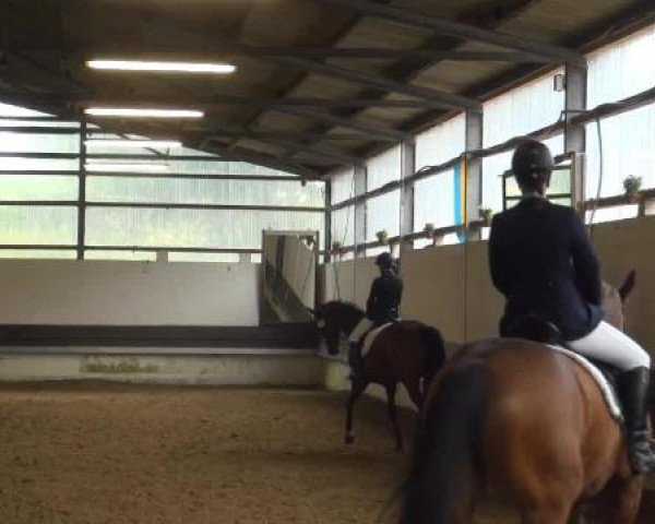 Reit-und Springturnier Dortmund West 2015