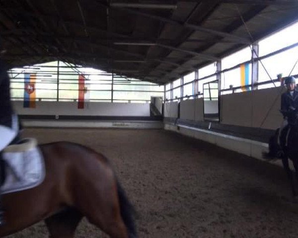 Reit-und Springturnier Dortmund West 2015
