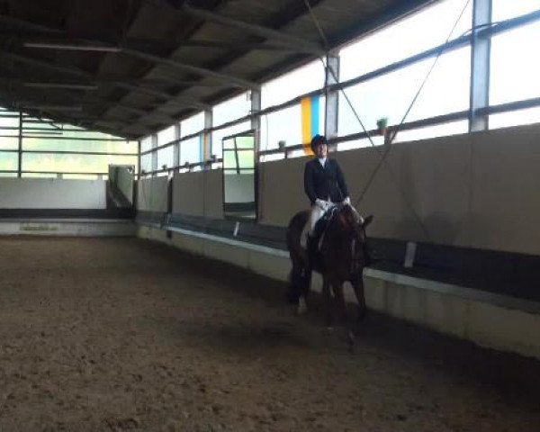 Reit-und Springturnier Dortmund West 2015