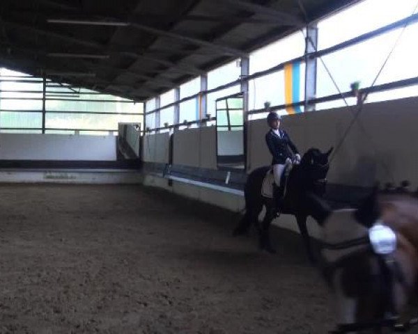 Reit-und Springturnier Dortmund West 2015