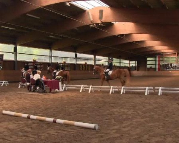 Schwerte - Gut Kückshausen 2015