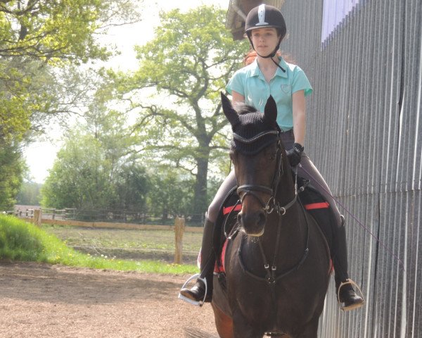horse Raissa (Hanoverian, 2000, from Rubinstein I)