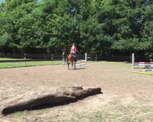 Video von Doreen