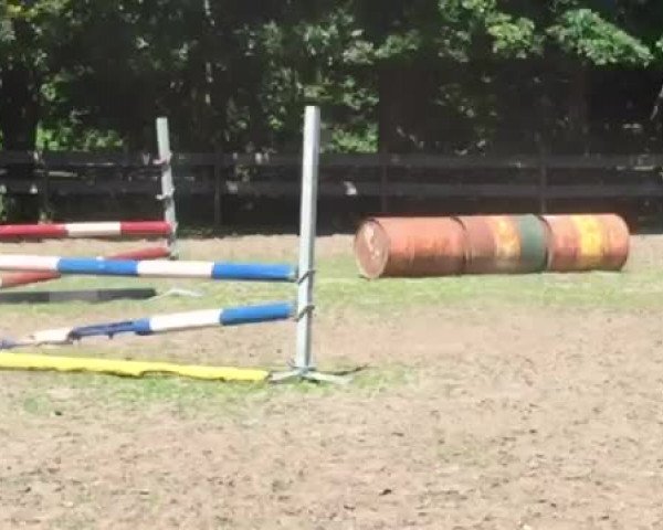 Video von Doreen