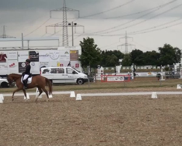Reitturnier Heinsberg 2015