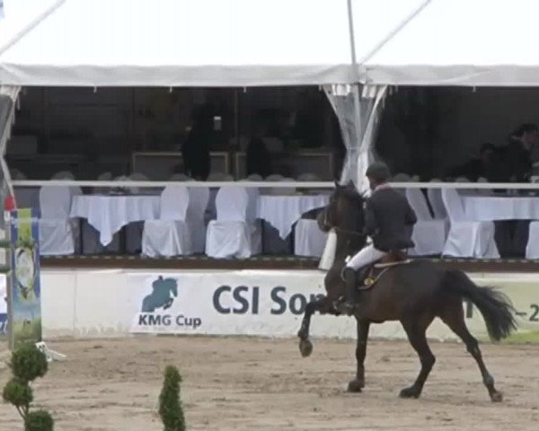 FEI Reitturnier Sommerstorf (GER) 2015