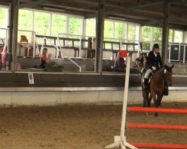 Reit-und Springturnier Dortmund West 2015