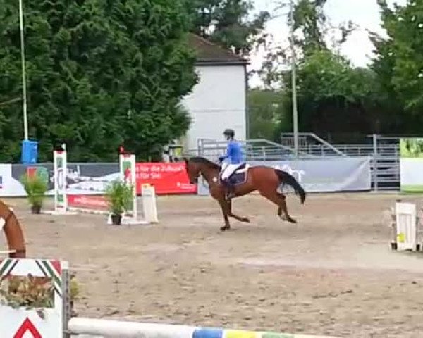 Video of Excalibur K