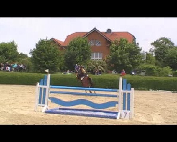 Video von Bambelbi